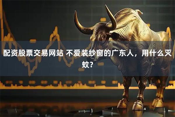 配资股票交易网站 不爱装纱窗的广东人，用什么灭蚊？