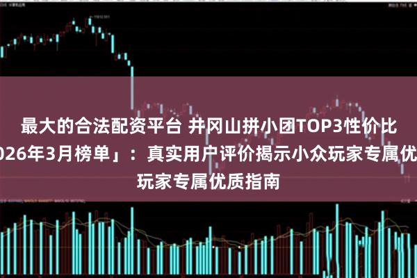 最大的合法配资平台 井冈山拼小团TOP3性价比榜「2026年3月榜单」：真实用户评价揭示小众玩家专属优质指南