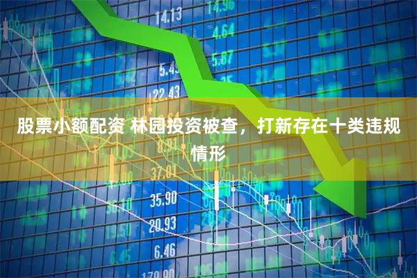 股票小额配资 林园投资被查，打新存在十类违规情形
